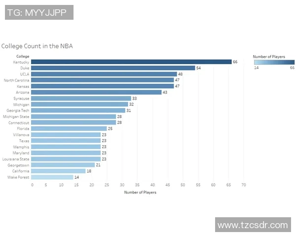 NBA赛季防守端数据及表现分析
