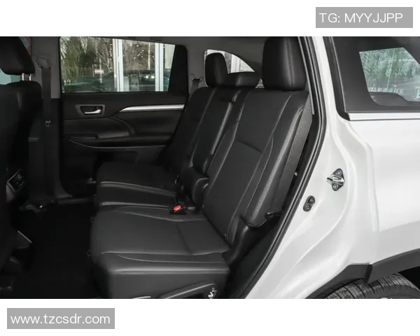 技术统计:维尼修斯近5场表现一览