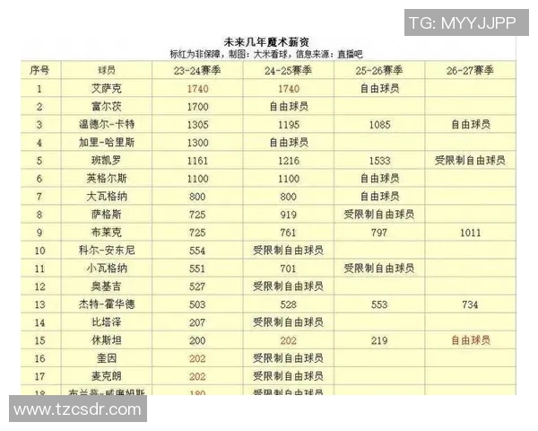 NBA球队新秀选拔标准及培养案例研究